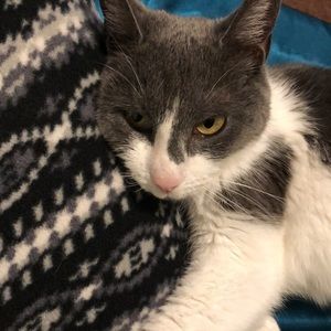 Meet your Posher, Brandi